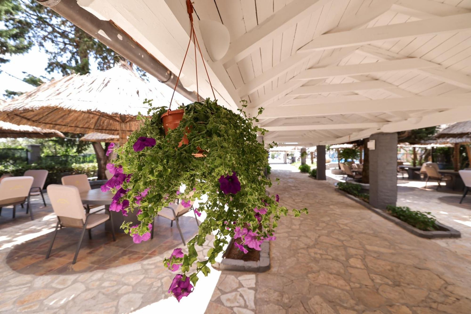 Tribalj Tribunia Beach Hotel מראה חיצוני תמונה